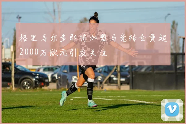 格里马尔多即将加盟马竞转会费超2000万欧元引发关注